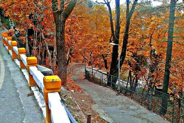 Nathiya Gali  Shogran