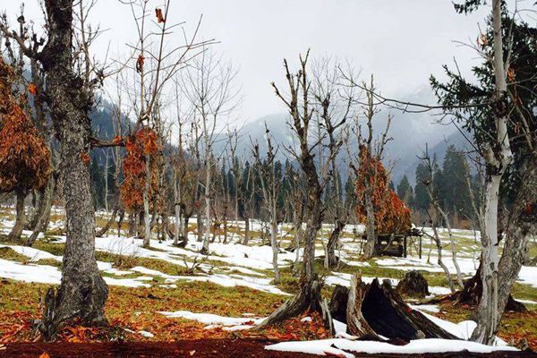 Neelum Valley Azad Kashmir