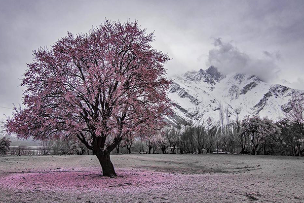 Skardu  Deosai 