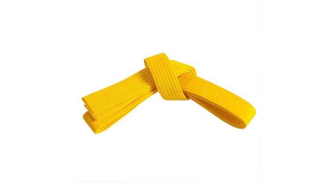 Karate Belt UFG4380