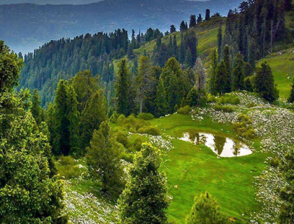 Nathiya Gali, Shogran  Naran 