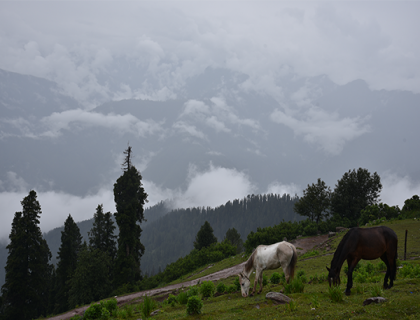 Shogran  Kaghan Valley