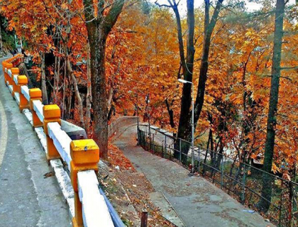 Shogran  Nathiya Gali 