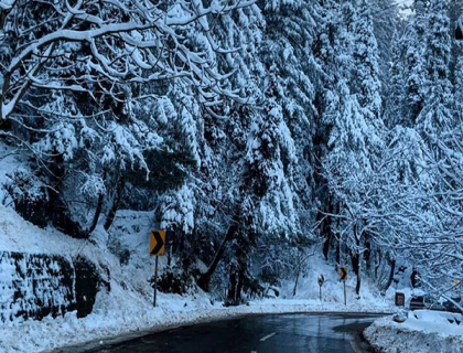 Shogran  Nathiya Gali 