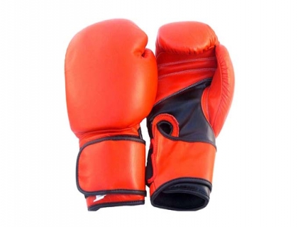 Leather Boxing Gloves UFG2137