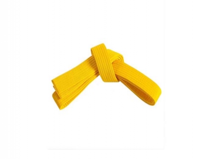 Karate Belt UFG4380