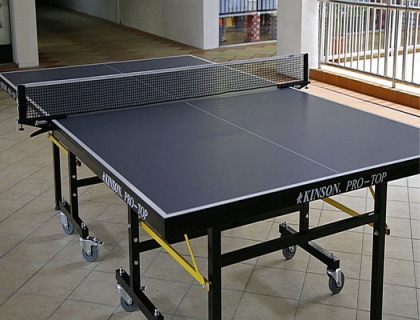 Table Tennis 