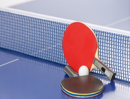 Table Tennis Net