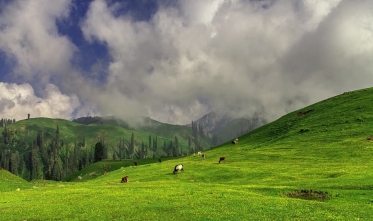 Naran Valley: Verdant Mountain Beauty