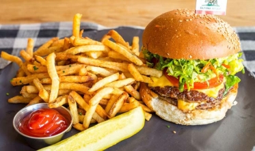 Chicken Burger + Fries