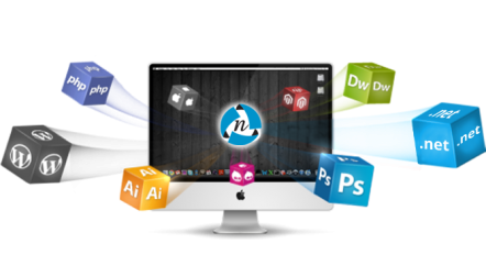 Web Design Company in Lahore, Pakistan