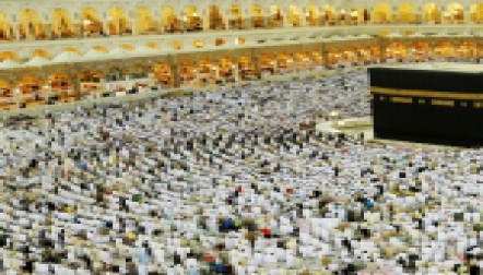Al Yasin Travels