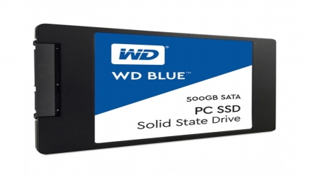 WD Blue 500GB SATA III Internal SSD (WDS500G1B0A)