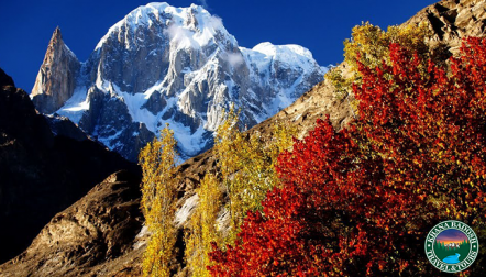 5 Days Trip to Hunza and Naltar Valley