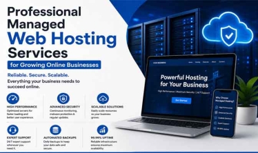 Professional Managed Web Hosting Services for Growing Online Businesses